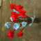 Dsc03480_grid