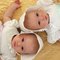 Twins5_grid