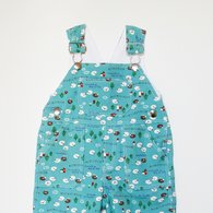 102909_091_cropped_main_listing