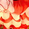 Dsc03603_2_grid