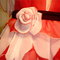 Dsc03602_grid