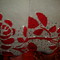 Dsc07537_grid
