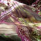 Bild3_grid
