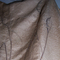 Dress_close_up_web_grid