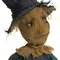 Scarecrow_grid