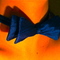 Dscn5704_grid