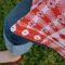 Picnic_v1_03_grid