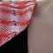 Picnic_v1_04_grid