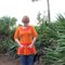 Pocketshirt_v1_01_grid