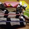 Bags_003_grid