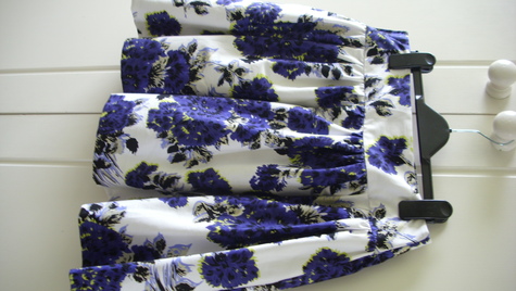 Dsci0011_large