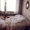 Lacey_011_copy_grid