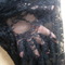 Billede0195_grid