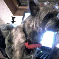 Picture_8_edited_listing