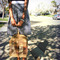 Birdcage_ed_grid
