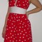 Syd_nmekko_020b_grid