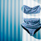 Bikini_grid