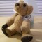 Moon_teddy_002_grid