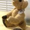 Moon_teddy_001_grid