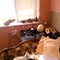 Upstairsloveseat_sculptures_grid