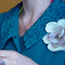 First_flower_dsc01620_close_grid