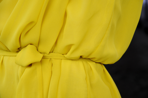 Yellow_detail_01_large