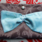 Alice_dsc01822_grid
