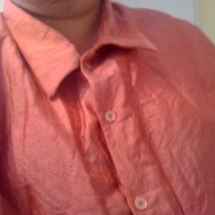 Silkshirt01mod_listing
