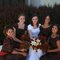 Bridesmaids2_grid