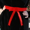 The_belt_grid