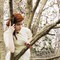 Vintage_21_060_grid