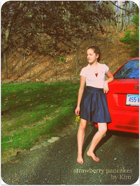 Circle_skirt_car_fixup_large