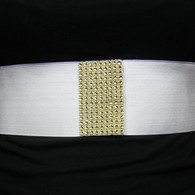 Belt2_listing