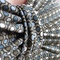 Rimg0011b_grid