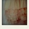 Img_1957-pola_grid