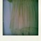Img_1952-pola_grid