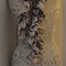 Dsc02211_grid