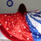 2009-08-07_ww306_grid