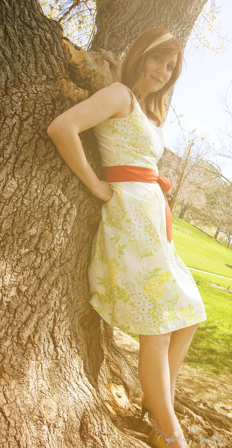 Spring_dress_2_large
