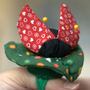 Ladybug_nef_thumb
