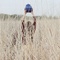 Whinnie_050_grid