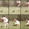 Last_number2_grid
