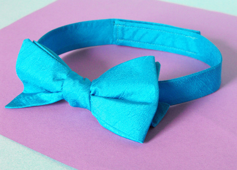 Bowtie_front_sm_large
