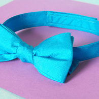 Bowtie_front_sm_listing