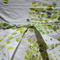 Dsc07419_grid