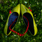 Shoes_grid