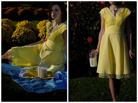 New_flickr_dresses4_large