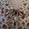 Collar_grid
