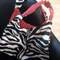 Zebra_bag_grid