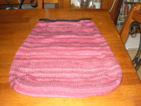 P1010004_large